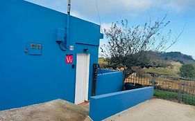 La casita de Rosi